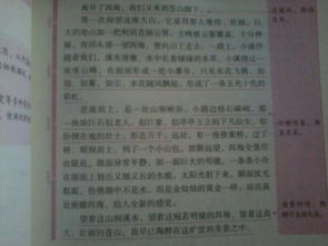 校園風景春夏秋冬作文1000字