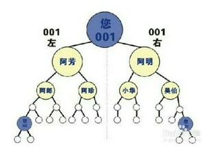 警惕傳銷陷阱創(chuàng)造和諧校園作文