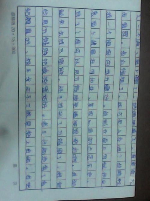 校園里難忘的一件事六百字作文