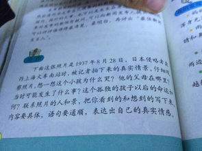 校園里的花園二百字作文