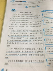 四級(jí)的校園生活350字作文