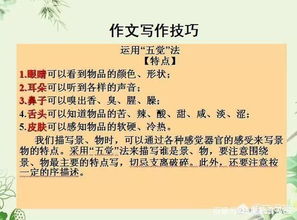 校園中為師生做貢獻(xiàn)的人作文