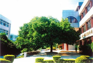 寫景作文400字美麗的校園