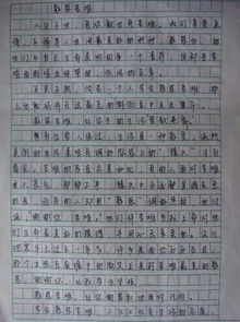 作文,更美好,運(yùn)動,校園