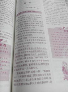 公園春夏秋冬寫(xiě)景作文400字,春夏秋冬寫(xiě)景作文300字,按春夏秋冬時(shí)間順序的寫(xiě)景作文