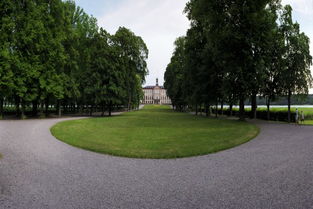 校園的早晨作文400字,校園的早晨作文500字,校園的早晨作文寫景色