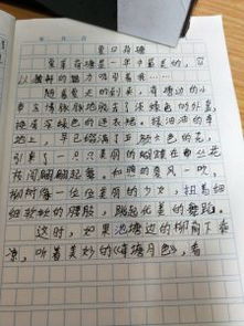 夏天校園景物作文大全