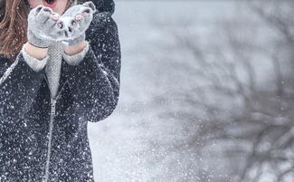 廣東冬天校園作文