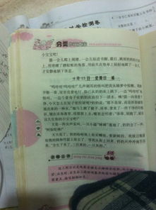 校園金銀花墻的作文怎么寫三百字