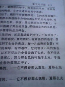 作文,描寫,秋天,校園