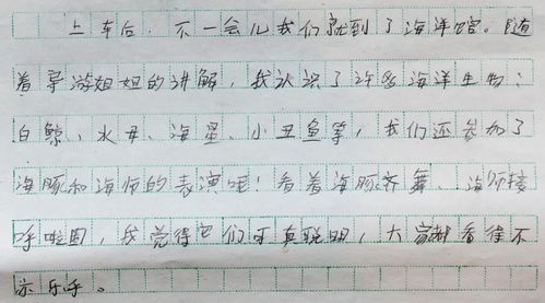校園那一米陽光作文600字