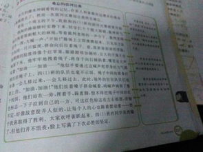 八年級(jí)上冊(cè)作文校園一景,我的校園八年級(jí)作文600字,我的校園作文八年級(jí)