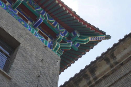 漫步在新的校園里作文600字