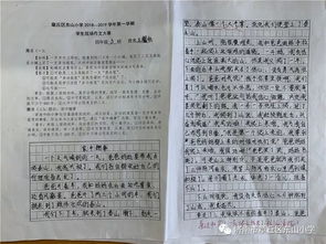 最有趣的校園活動四級作文500字