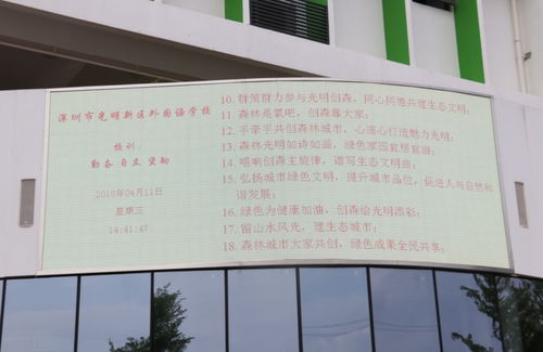 森林城市進(jìn)校園活動(dòng)作文