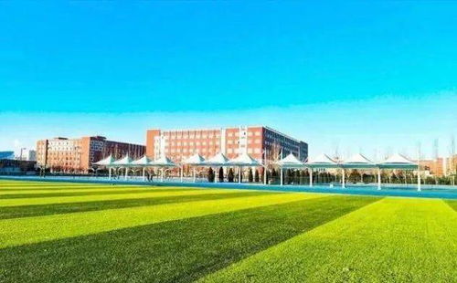 作文,多姿多彩,為主題,校園生活