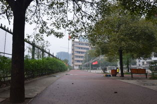 移步換景的作文美麗校園