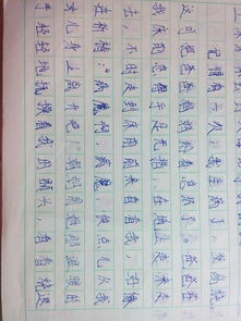 描寫的校園作文350字左右作文大全