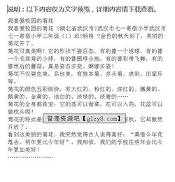 我是一朵菊花作文500字在校園里