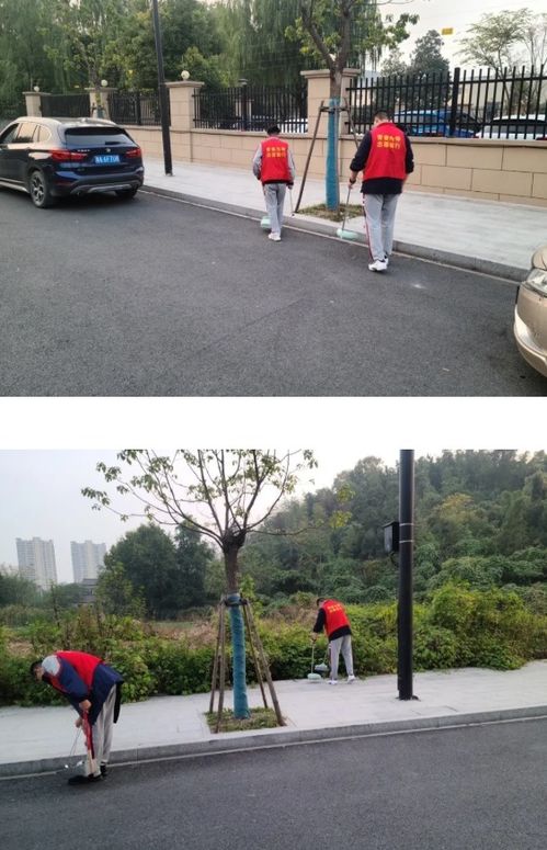 愛護(hù)環(huán)境共創(chuàng)美好校園作文