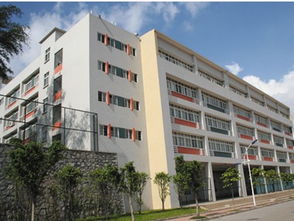 寫廣州華農(nóng)附小校園作文