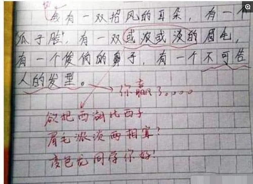 作文,最美,的花,校園里