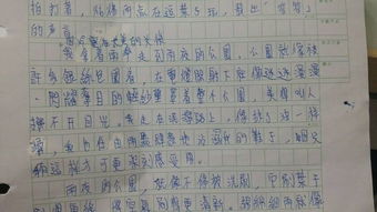 小學(xué)生作文下雨天的校園