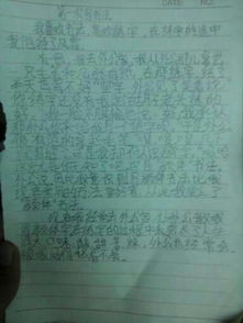 校園里發(fā)生的事的作文600字作文怎么寫