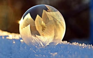 冬天的校園作文100字左右