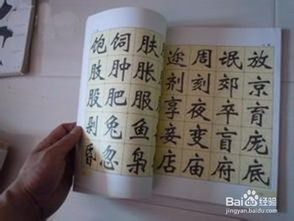 校園的調(diào)查報告作文怎么寫