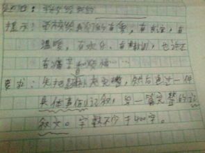 校園樂趣作文400字左右