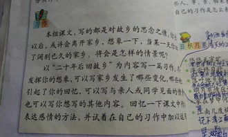 新的校園新的環(huán)境為題目的作文五百字