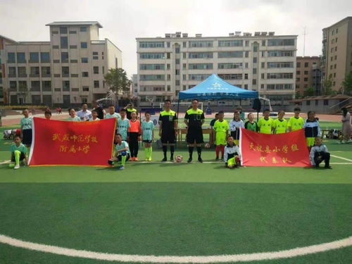 武威市武師附小美麗的校園作文