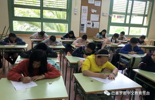 作文,多彩,校園,活動(dòng)