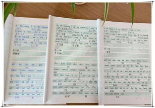 我的校園我做主作文200