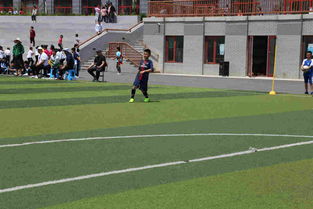 快樂足球魅力校園作文