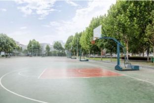 校園里好玩的地方作文