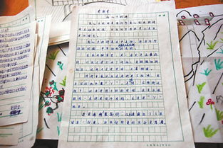 新校園開學作文