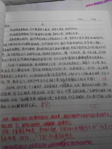 校園安全作文600字初一,校園安全的作文600字,校園安全作文600字高中