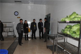 城鄉(xiāng)環(huán)境治理進(jìn)校園的作文