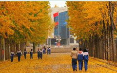 校園的初秋200字作文