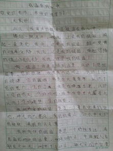 有關(guān)描寫校園的抒情作文