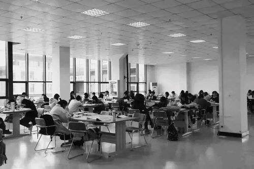 關(guān)于疫情過后回歸校園作文