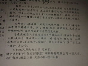 春滿校園作文八百字