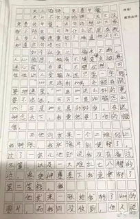 關(guān)于調(diào)查校園的作文