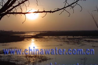 作文,照耀,夕陽,校園