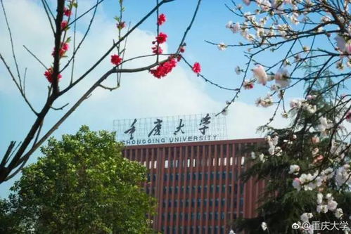 松潘縣城關(guān)小校園春景作文