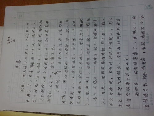 作文,文化周,校園,活動(dòng)