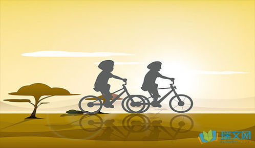 我的校園作文600字,新的校園作文600字,回望作文600字初三