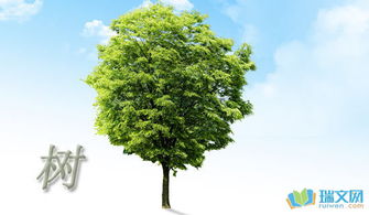 校園里的一棵樹寫一篇作文